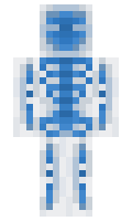 Washington minecraft skin