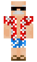 zonz minecraft skin