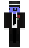 a31feeac558384 minecraft skin