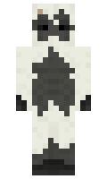 a33675b5c69220 minecraft skin
