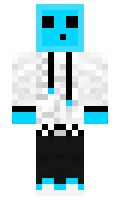 Stipendi minecraft skin