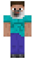 RogueWolf100428 minecraft skin