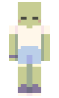 a358d73b17bd00 minecraft skin