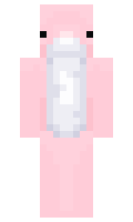 erm minecraft skin