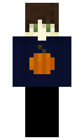 selvar minecraft skin