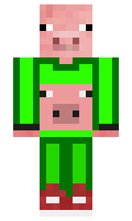 a425d3adba66c2 minecraft skin