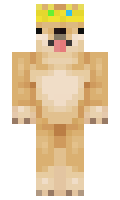 notducko1 minecraft skin