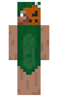 a4321cf7ea245d minecraft skin