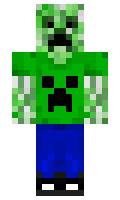 Minicoopstar11 minecraft skin