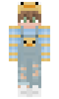 a43bfd1352eeb9 minecraft skin