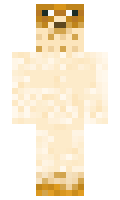 Zazicon minecraft skin
