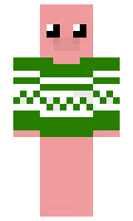 Foll minecraft skin