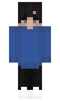 a489d320843795 minecraft skin