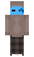 a48c8b4801206f minecraft skin