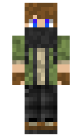 a49e664afacd34 minecraft skin