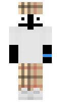 a4d9f253f25b38 minecraft skin