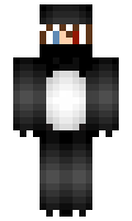 vinu minecraft skin