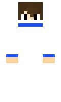 Wai minecraft skin