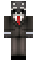 Medil minecraft skin