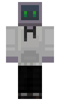 acetim100 minecraft skin