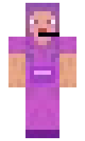 vbins minecraft skin