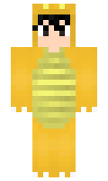 Berklee minecraft skin