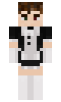 a5a0b17eed635d minecraft skin
