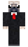 misterzetas33 minecraft skin