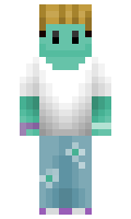 probablynari minecraft skin