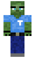 TheisR minecraft skin