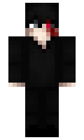 wary minecraft skin