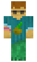 a5bee00e44a909 minecraft skin