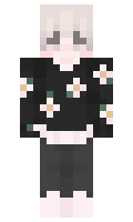 Hyprotex minecraft skin