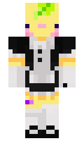 NinGameplays minecraft skin