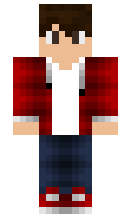 bogdi minecraft skin