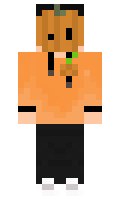 a61dbb83b987b8 minecraft skin