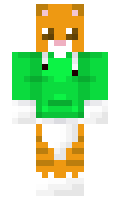 Put0veda minecraft skin