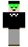 a624ff9512e8ea minecraft skin