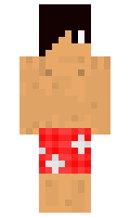 a62ce036a27039 minecraft skin