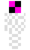 spidernh minecraft skin