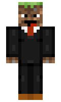 twizi minecraft skin