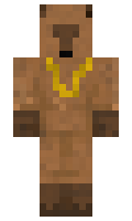 ilparrow minecraft skin