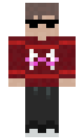 a66d111073c135 minecraft skin