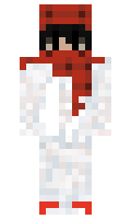 poju minecraft skin