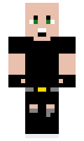 a688b9cac3fba2 minecraft skin