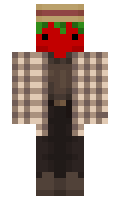 a69311ba610ec7 minecraft skin