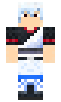 ssenator minecraft skin