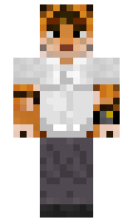 a6bc66f73c2dfa minecraft skin