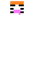 cat2575 minecraft skin