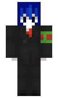Certificada minecraft skin